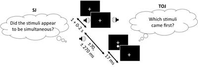 Simultaneity and Temporal Order Judgments Are Coded Differently and Change With Age: An Event-Related Potential Study